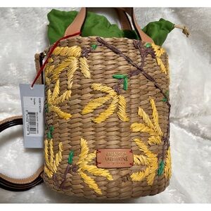 Super cute Francis Valentin raffia bag